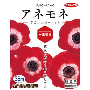 【秋植え球根】（アネモネ一重咲き）デカン　スカーレット（30ml詰）【サカタのタネ】
