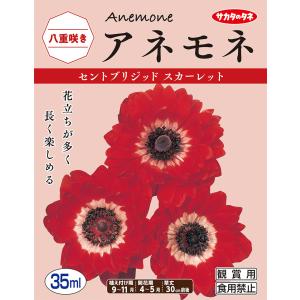 アネモネ 球根の商品一覧 通販 Yahoo ショッピング