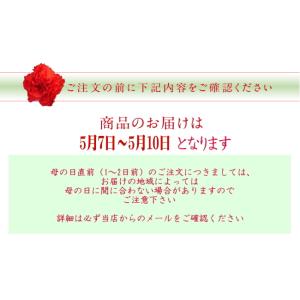 【母の日ギフト】香りのあるピンクカーネーション...の詳細画像2