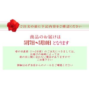 母の日 ギフト イングリッシュラベンダー 鉢植...の詳細画像3