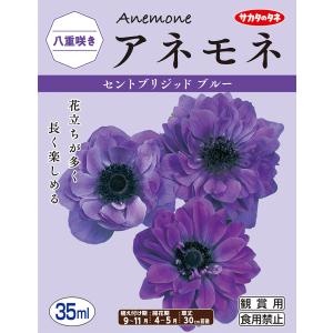 【秋植え球根】（アネモネ菊咲き）セントブリジッド　ブルー（30ml詰）【サカタのタネ】