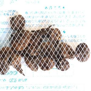 【秋植え球根】(アネモネ菊咲き)セントブリジッ...の詳細画像1