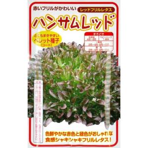 ハンサムレッド