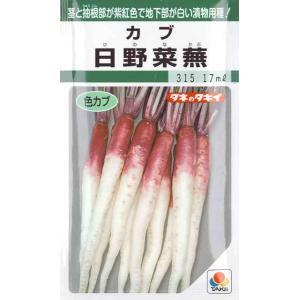 【色カブ】日野菜蕪 （ひのなかぶ）【タキイ種苗】（15ml）野菜種[秋まき]