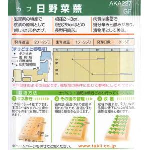 【色カブ】日野菜蕪 (ひのなかぶ)【タキイ種苗...の詳細画像1
