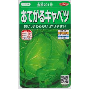 【おてがるキャベツ】金系201号【サカタ交配】（0.8ml）野菜種[春まき][秋まき]922002