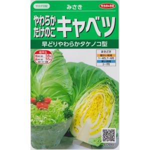 やわらかたけのこキャベツ（1ml）野菜種/サカタのタネ[春まき][秋まき]922010