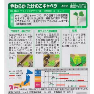 【みさき】やわらかたけのこキャベツ【サカタ交配...の詳細画像1