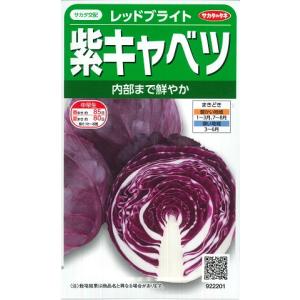 【紫キャベツ】レッドブライト【サカタ交配】（0.8ml）野菜種[春まき][秋まき]922200