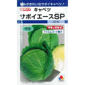 【キャベツ】サボイエースSP 【タキイ種苗】（160粒）野菜種[秋まき]DF