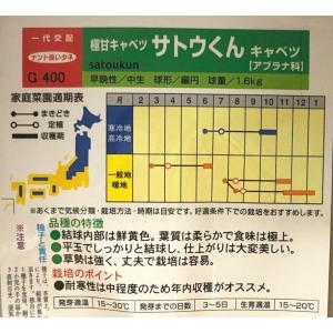 【極甘キャベツ】サトウくん【ナント種苗】一代交...の詳細画像1