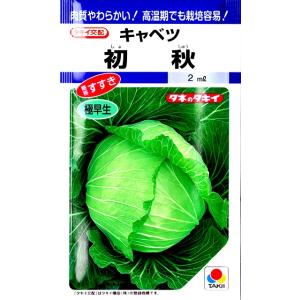 【キャベツ】初秋（しょしゅう）【タキイ種苗】（1.8ml）（略称：すすき）野菜種[春まき][秋まき]DF