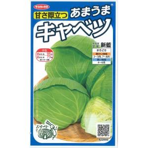 【あまうまキャベツ】新藍【サカタ交配】野菜種（0.8ml）922005