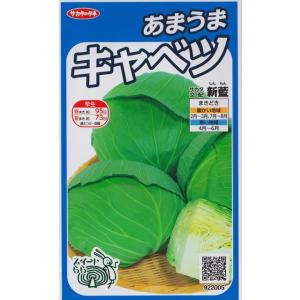【あまうまキャベツ】新藍【サカタ交配】野菜種（0.8ml）922005