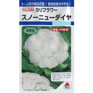 【カリフラワー】スノーニューダイヤ 【タキイ種苗】（1.2ml）野菜種[秋まき]DF｜Hana Uta 米沢園芸 Yahoo!店