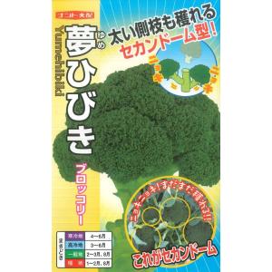 【ブロッコリー】夢ひびき【ナント種苗】一代交配（0.7ml）野菜種[春まき][夏まき]