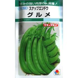 白花つるあり【スナップエンドウ】グルメ【タキイ種...の商品画像
