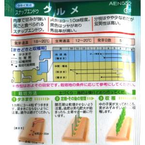 白花つるあり【スナップエンドウ】グルメ【タキイ...の詳細画像1