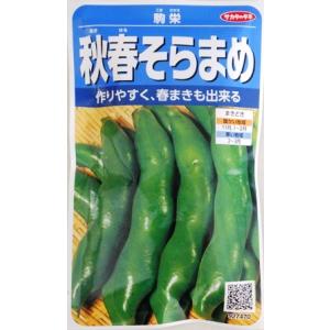 【秋春そらまめ】駒栄（こまさかえ）【サカタのタネ】（28ml）ソラマメ/そら豆[春まき][秋まき]9...