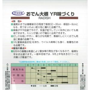 【ダイコン】おでん大根 味づくり【丸種】宇治交...の詳細画像1
