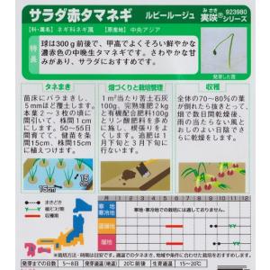 【タマネギ】サラダ赤タマネギ(ルビールージュ)...の詳細画像1
