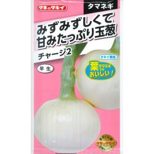 チャージ２（ツー）野菜種（3ml/約370粒）[秋まき]ATA211