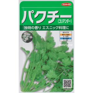 【パクチー】コリアンダー【サカタのタネ】中国野菜/ハーブ/野菜種（10ml）[春まき]923373