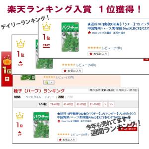 【パクチー】コリアンダー【サカタのタネ】中国野...の詳細画像2