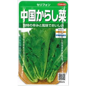 令和8年入荷予定なし】野菜・種/苗［春植えジャガイモ種芋］インカの