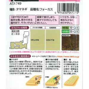 【タマネギ】春一番サラダタマネギ フォーカス ...の詳細画像1