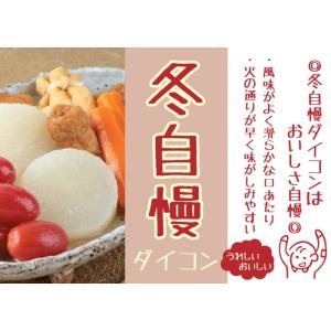 【冬どりあまうま大根】冬自慢【サカタ交配】(1...の詳細画像2