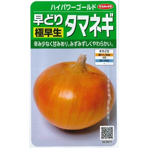 【早どり極早生タマネギ】ハイパワーゴールド【サカタのタネ】（3ml）野菜種[秋まき]923977