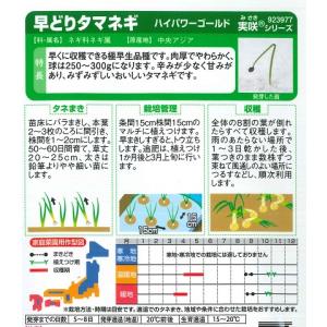 【早どり極早生タマネギ】ハイパワーゴールド【サ...の詳細画像1