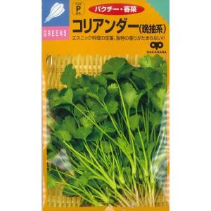 【パクチー】晩抽系コリアンダー【中原採種場】中国野菜/ハーブ/野菜種（20ml）[春まき][秋まき]