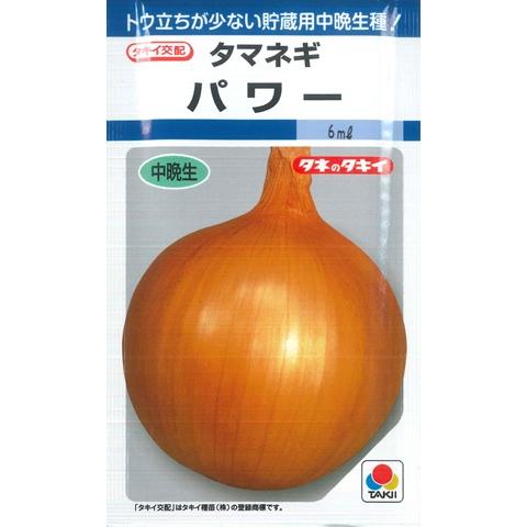 【タマネギ】パワー【タキイ交配】（6ml）野菜種[秋まき]DF