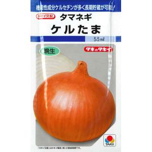 ケルたま（4.5ml）野菜種[秋まき]DF