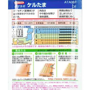 【タマネギ】ケルたま【タキイ交配】(4.5ml...の詳細画像1