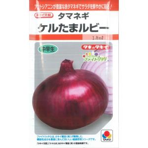 【タマネギ】ケルたまルビー【タキイ交配】（1.8ml）野菜種[秋まきRDF