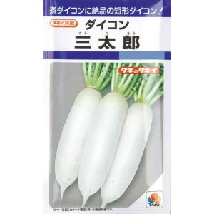 【ダイコン】三太郎【タキイ種苗】（7ml）野菜種[春まき][秋まき]DF