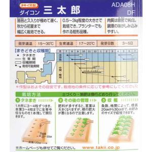 【ダイコン】三太郎【タキイ種苗】(7ml)野菜...の詳細画像1