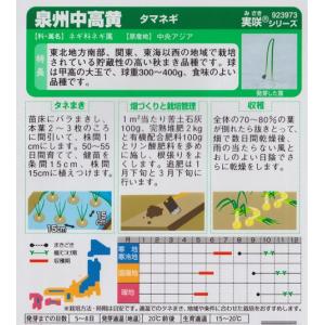 【タマネギ】泉州中高黄【サカタのタネ】(5ml...の詳細画像1