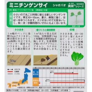 【ミニチンゲンサイ】シャオパオ【サカタ交配】(...の詳細画像1