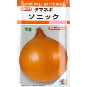 【タマネギ】ソニック【タキイ交配】（2.2ml）[秋まき]野菜種RF
