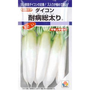 耐病総太り（略称：さい） （16ml）野菜種[春まき][秋まき]DF