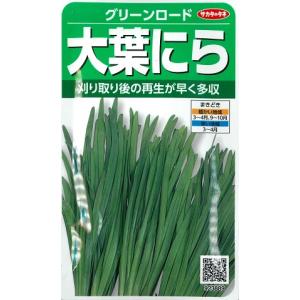 【ニラ】大葉にら（グリーンロード）【サカタのタネ】（5ml）野菜種923889