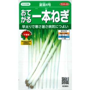 【おてがる一本ねぎ】夏扇4号 【サカタ交配】（3ml）野菜種[春まき][秋まき]923803