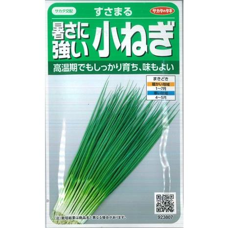【暑さに強い小ねぎ】すさまる【サカタ交配】（13ml）野菜種[春まき][秋まき]923800