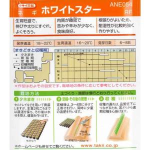 【根深ネギ】ホワイトスター 【タキイ種苗】(4...の詳細画像1