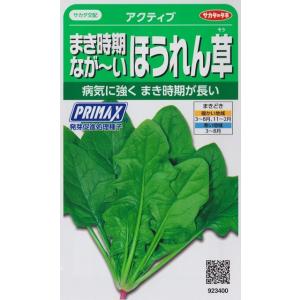 【暑さに強いホウレンソウ】アクティブPRIMA...の詳細画像2