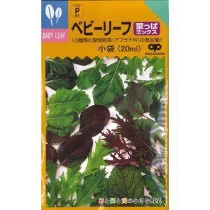 【ベビーリーフ】菜っぱミックス10種類【中原採種場】（20ml）野菜種[春まき][秋まき]